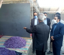 بازدید از بازارچه اختصاصی زعفران در مناطق حاشیه نشین مشهد